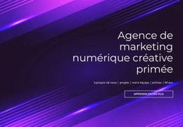 Agence Numérique Primée