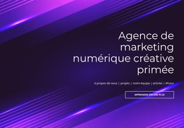 Agence Numérique Primée – Site Web De Commerce Électronique