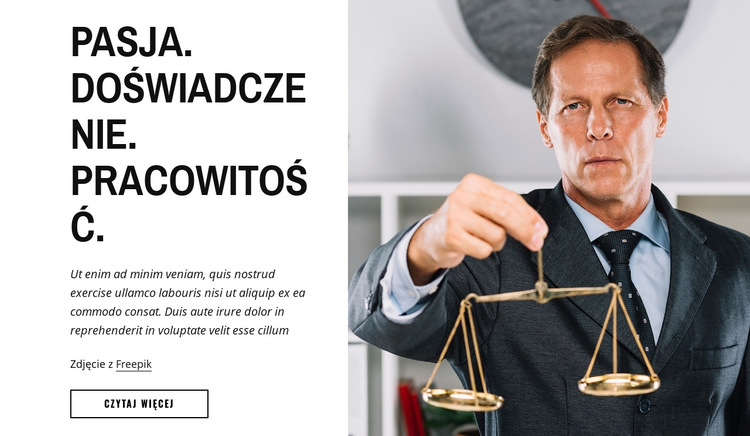Przeanalizowaliśmy tradycyjną obsługę prawną Szablon witryny sieci Web