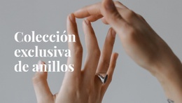 El Mejor Diseño De Sitio Web Para Colección Exclusiva De Anillos