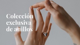 Herramientas De Diseño Para Colección Exclusiva De Anillos