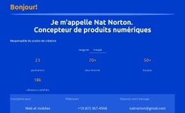 Responsable D'Atelier De Création - Conception De Site Web Simple