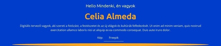 Tervezői profil és portfólió HTML Sablon