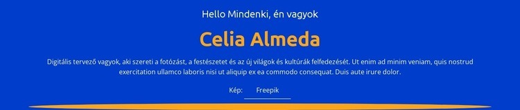 Tervezői profil és portfólió Weboldal sablon