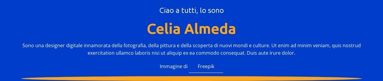 Profilo e portfolio del designer Modello di sito Web