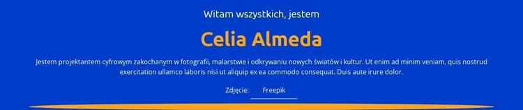 Profil i portfolio projektanta Wstęp