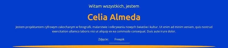 Profil i portfolio projektanta Szablon HTML