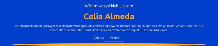 Profil i portfolio projektanta Szablon