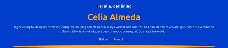 Designerprofil och portfolio Mall