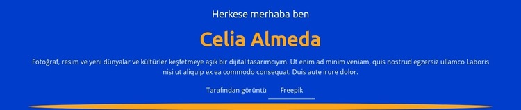 Tasarımcı profili ve portföyü Web Sitesi Şablonu