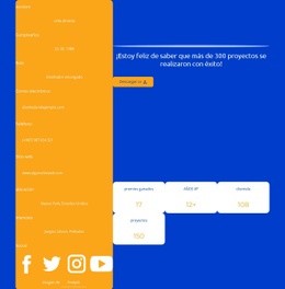 Perfil Profesional Del Diseñador Web