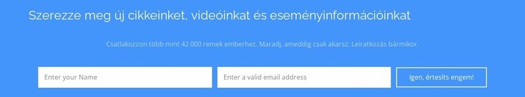 Szerezze meg új cikkeinket Weboldal sablon