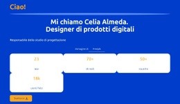 Profilo Professionale Del Designer Digitale