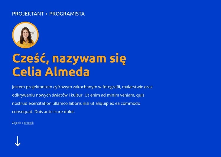 Jestem projektantem i programistą Makieta strony internetowej