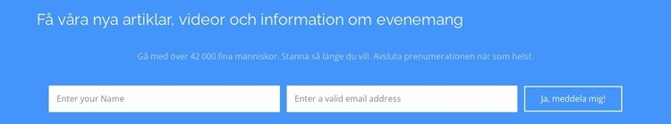 Få våra nya artiklar CSS -mall