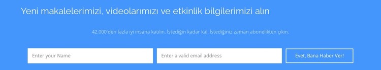 Yeni makalelerimizi alın CSS Şablonu