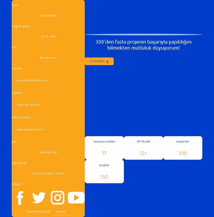 Web tasarımcısı iş profili Bir Sayfa Şablonu