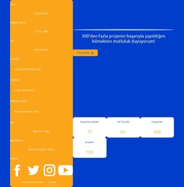 Web Tasarımcısı Iş Profili Seçim