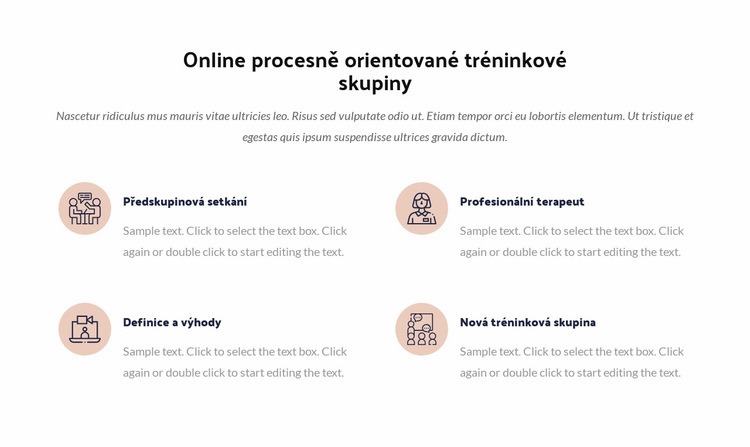 Online procesní tréninková skupina Téma WordPress