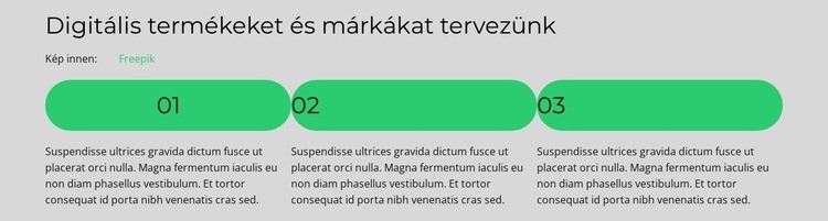 A vezető elmondja HTML Sablon