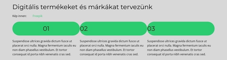 A vezető elmondja Weboldal sablon