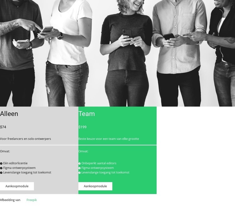 Kies een comfortabel tarief Website mockup