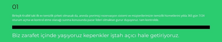 İlk pozisyon WordPress Teması