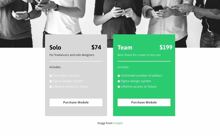 Choose a comfortable tariff Website Mockup