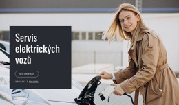 Servis Elektrických Vozů