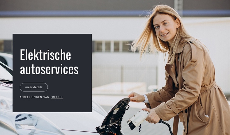 Elektrische autodiensten Website mockup