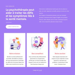 Professionnels Du Conseil - HTML5 Website Builder