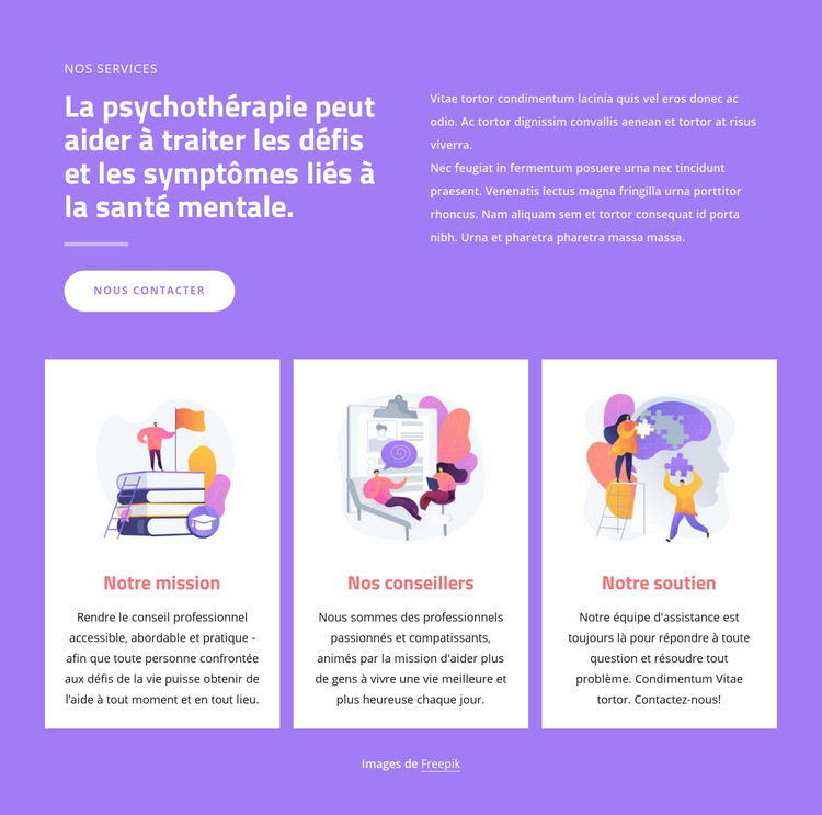 Professionnels du conseil Modèle de site Web