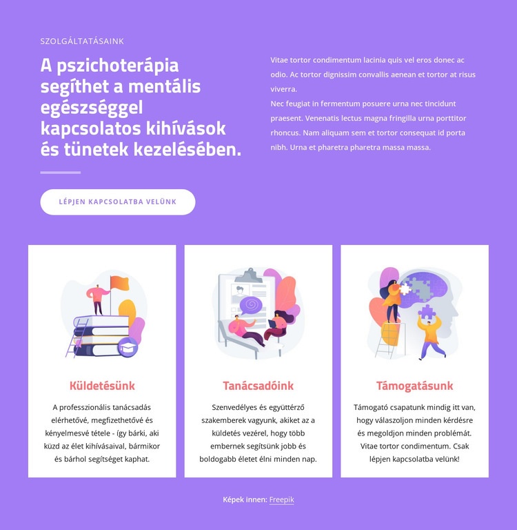 Tanácsadó szakemberek WordPress Téma