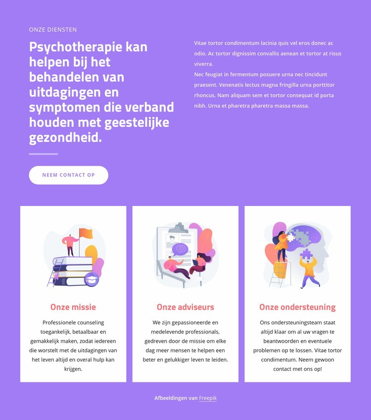 Begeleiden van professionals Website ontwerp