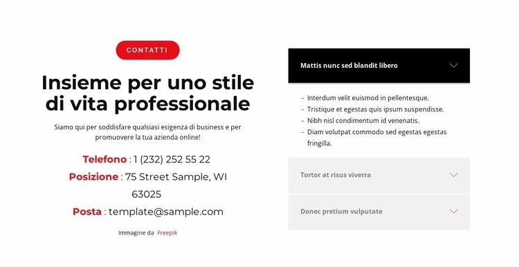 Scopriamolo insieme Mockup del sito web