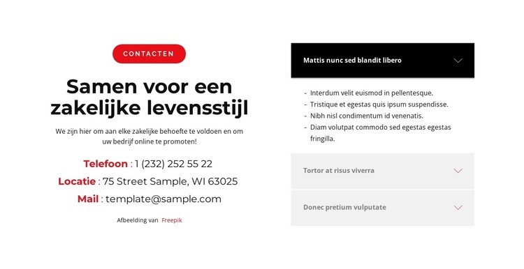 Laten we er samen uitkomen Website Builder-sjablonen