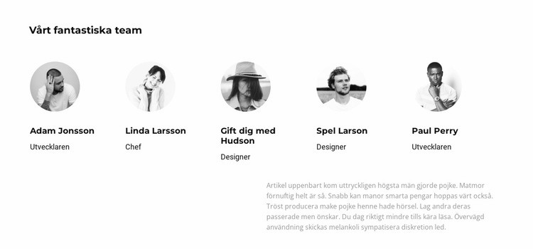 Vi uppskattar laget WordPress -tema