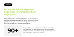 Sayaç Ve Metin Bloğu - Build HTML Website