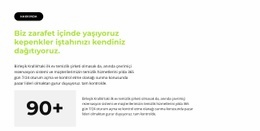 Sayaç Ve Metin Bloğu Için Web Sitesi Oluşturucu