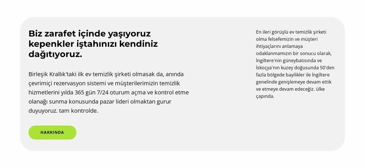 Örnek yazı Web sitesi tasarımı