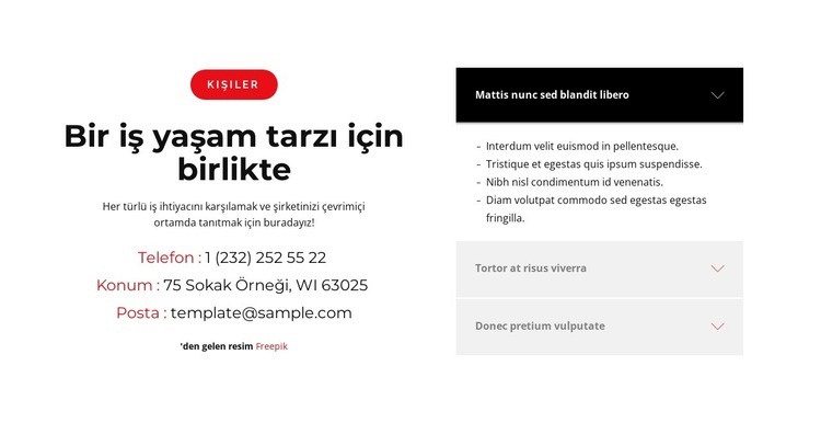 Hadi birlikte çözelim Web sitesi tasarımı