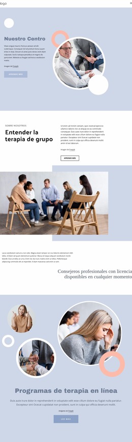 Consejeros Profesionales Con Licencia