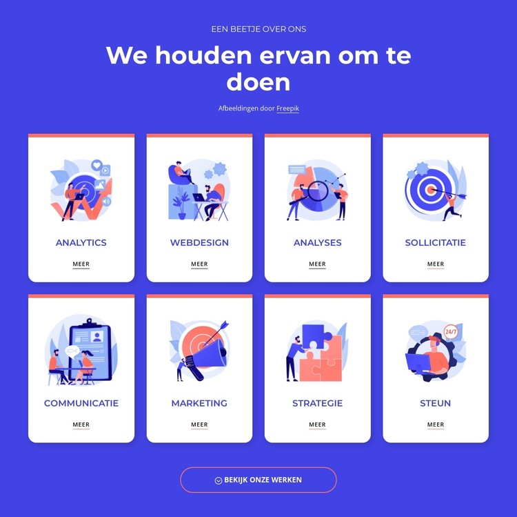 Visueel en productontwerp Website sjabloon