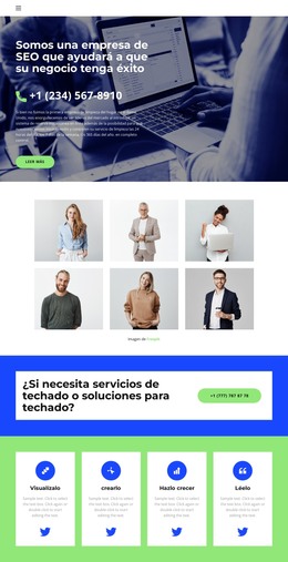 Página Web Para Negocios En Crisis