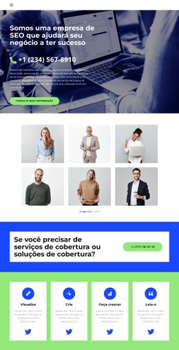 Negócios Em Crise Site Responsivo