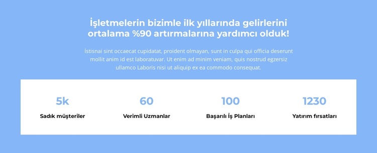 Sayarız HTML Şablonu