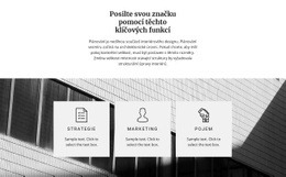 Web WordPress Pro Tři Směry