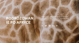 Projekt Strony Internetowej Dla Podróżowanie Po Afryce