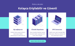 Kolay Erişilebilir Ve Güvenli - Özel WordPress Teması