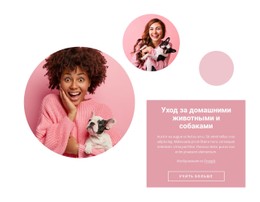 Каждая Собака Уникальна Шаблон HTML5 И CSS3